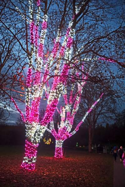 Tu na szczęście nie ma lockdownu... - zdjęcie 27