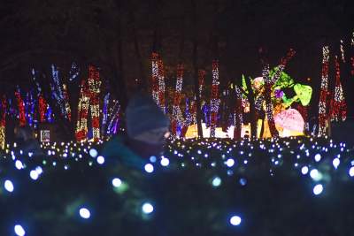 Tu na szczęście nie ma lockdownu... - zdjęcie 42