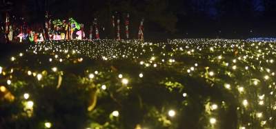 Tu na szczęście nie ma lockdownu... - zdjęcie 38