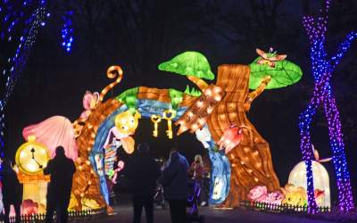 Tu na szczęście nie ma lockdownu... - zdjęcie 18