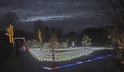 Tu na szczęście nie ma lockdownu... - zdjęcie 30