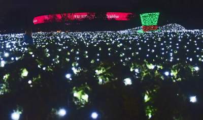 Tu na szczęście nie ma lockdownu... - zdjęcie 45