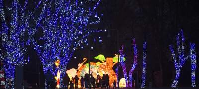 Tu na szczęście nie ma lockdownu... - zdjęcie 13