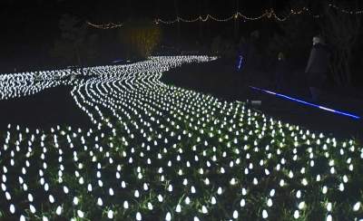 Tu na szczęście nie ma lockdownu... - zdjęcie 32