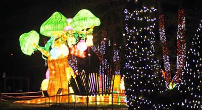 Tu na szczęście nie ma lockdownu... - zdjęcie 55