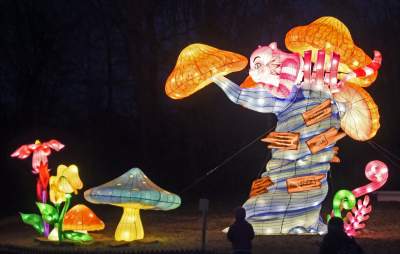 Tu na szczęście nie ma lockdownu... - zdjęcie 25