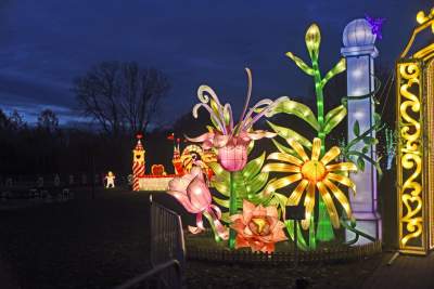 Tu na szczęście nie ma lockdownu... - zdjęcie 3