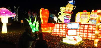 Tu na szczęście nie ma lockdownu... - zdjęcie 50