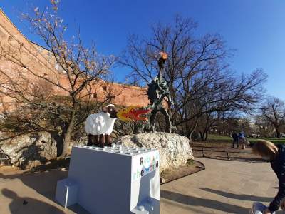 Waleczna owca obok Smoka Wawelskiego - zdjęcie 2