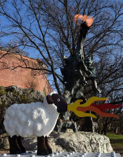 Waleczna owca obok Smoka Wawelskiego - zdjęcie 10