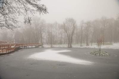 Park Duchacki: miejsce z wyjątkowym klimatem - zdjęcie 9