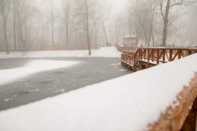 Park Duchacki: miejsce z wyjątkowym klimatem - zdjęcie 1