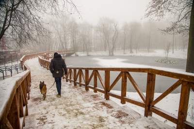 Park Duchacki: miejsce z wyjątkowym klimatem - zdjęcie 10