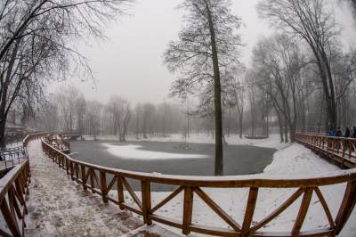 Park Duchacki: miejsce z wyjątkowym klimatem - zdjęcie 18