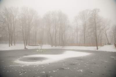 Park Duchacki: miejsce z wyjątkowym klimatem - zdjęcie 3