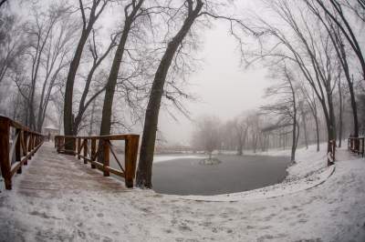 Park Duchacki: miejsce z wyjątkowym klimatem - zdjęcie 13