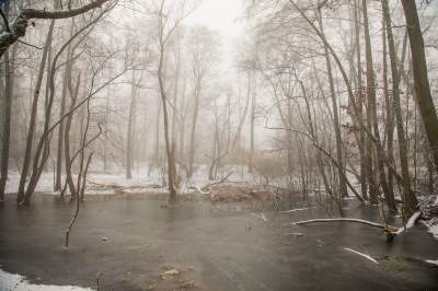 Park Duchacki: miejsce z wyjątkowym klimatem - zdjęcie 8