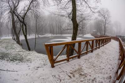 Park Duchacki: miejsce z wyjątkowym klimatem - zdjęcie 20