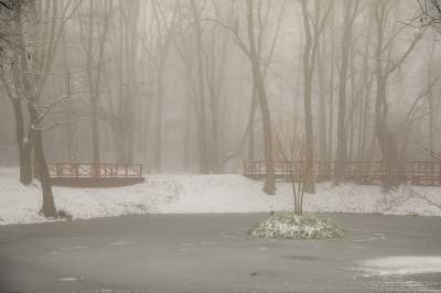 Park Duchacki: miejsce z wyjątkowym klimatem - zdjęcie 2