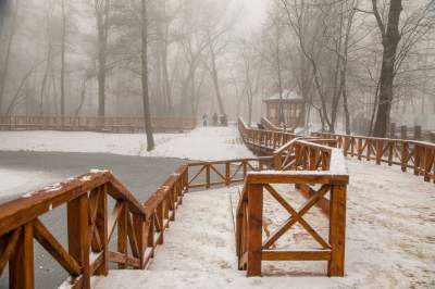 Park Duchacki: miejsce z wyjątkowym klimatem - zdjęcie 5
