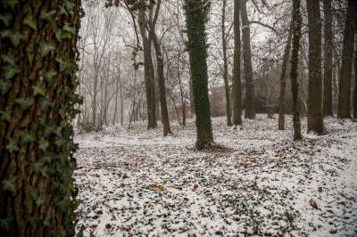 Park Duchacki: miejsce z wyjątkowym klimatem - zdjęcie 16