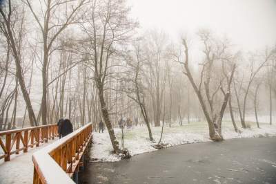 Park Duchacki: miejsce z wyjątkowym klimatem - zdjęcie 4