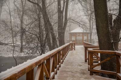 Park Duchacki: miejsce z wyjątkowym klimatem - zdjęcie 14