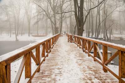 Park Duchacki: miejsce z wyjątkowym klimatem - zdjęcie 7