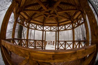 Park Duchacki: miejsce z wyjątkowym klimatem - zdjęcie 17