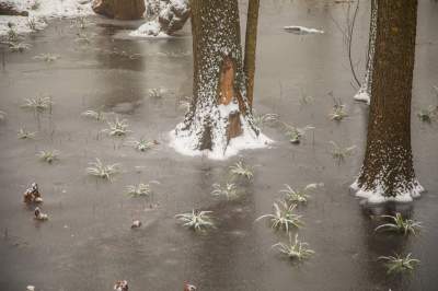 Park Duchacki: miejsce z wyjątkowym klimatem - zdjęcie 11