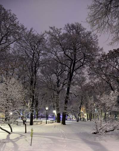 Zima w Krakowie rozpieszcza widokami - zdjęcie 2