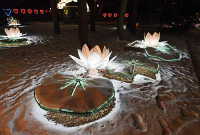 Pan Twardowski, smok, Lajkonik i inni. Park Krakowskich Legend - zdjęcie 25