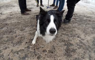 Kawa na chodniku zamiast soli i piasku... - zdjęcie 14