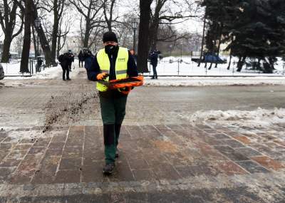 Kawa na chodniku zamiast soli i piasku... - zdjęcie 8