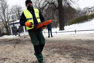 Kawa na chodniku zamiast soli i piasku... - zdjęcie 12
