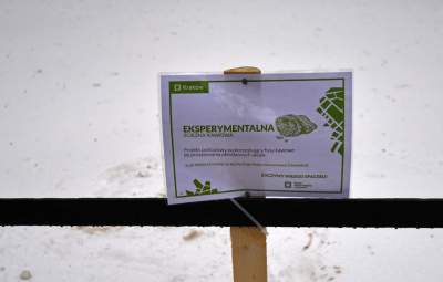 Kawa na chodniku zamiast soli i piasku... - zdjęcie 19