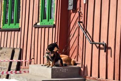 Piękny weekend w Lanckoronie. Wójta o zgodę nie pytaliśmy - zdjęcie 6