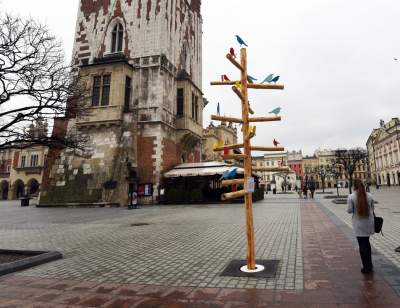 Drzewko emausowe na Rynku - zdjęcie 10