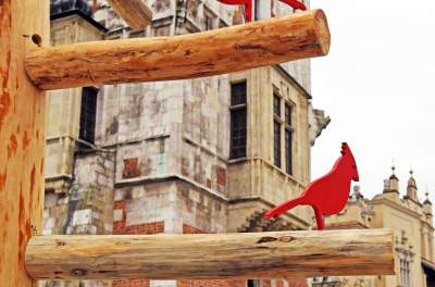 Drzewko emausowe na Rynku - zdjęcie 1