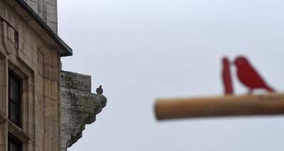 Drzewko emausowe na Rynku - zdjęcie 25