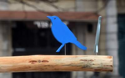 Drzewko emausowe na Rynku - zdjęcie 35