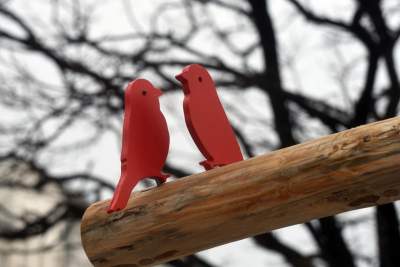 Drzewko emausowe na Rynku - zdjęcie 38