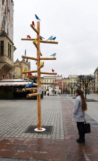 Drzewko emausowe na Rynku - zdjęcie 8