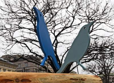 Drzewko emausowe na Rynku - zdjęcie 5