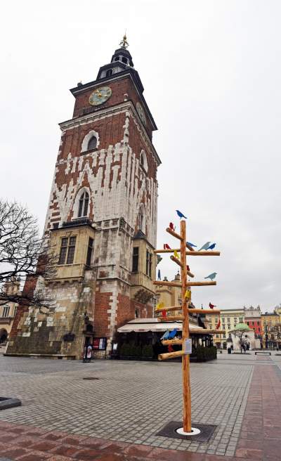 Drzewko emausowe na Rynku - zdjęcie 3