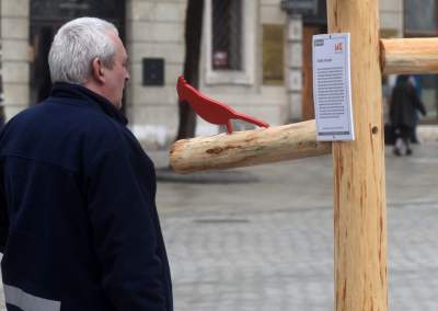 Drzewko emausowe na Rynku - zdjęcie 31