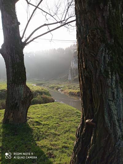 Tu jest pięknie: Dolina Prądnika w obiektywie Marcina Szymańskiego - zdjęcie 41