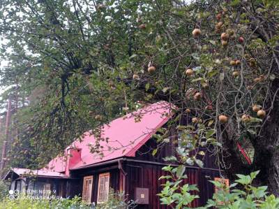 Tu jest pięknie: Dolina Prądnika w obiektywie Marcina Szymańskiego - zdjęcie 10