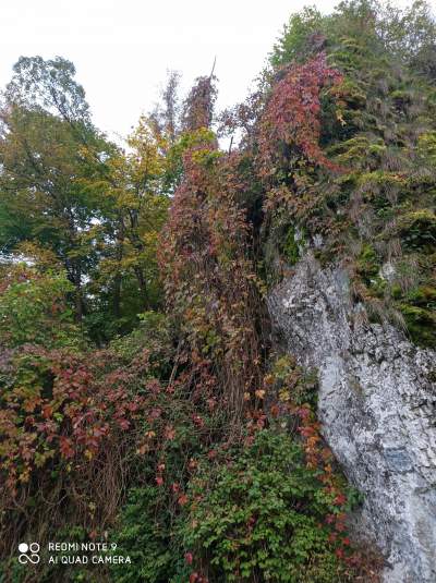 Tu jest pięknie: Dolina Prądnika w obiektywie Marcina Szymańskiego - zdjęcie 9