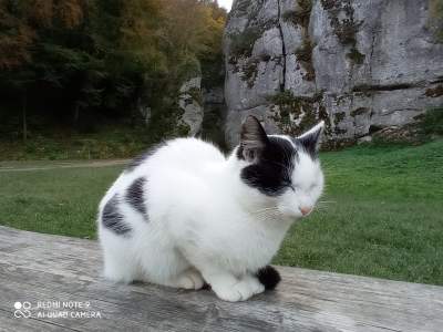 Tu jest pięknie: Dolina Prądnika w obiektywie Marcina Szymańskiego - zdjęcie 3